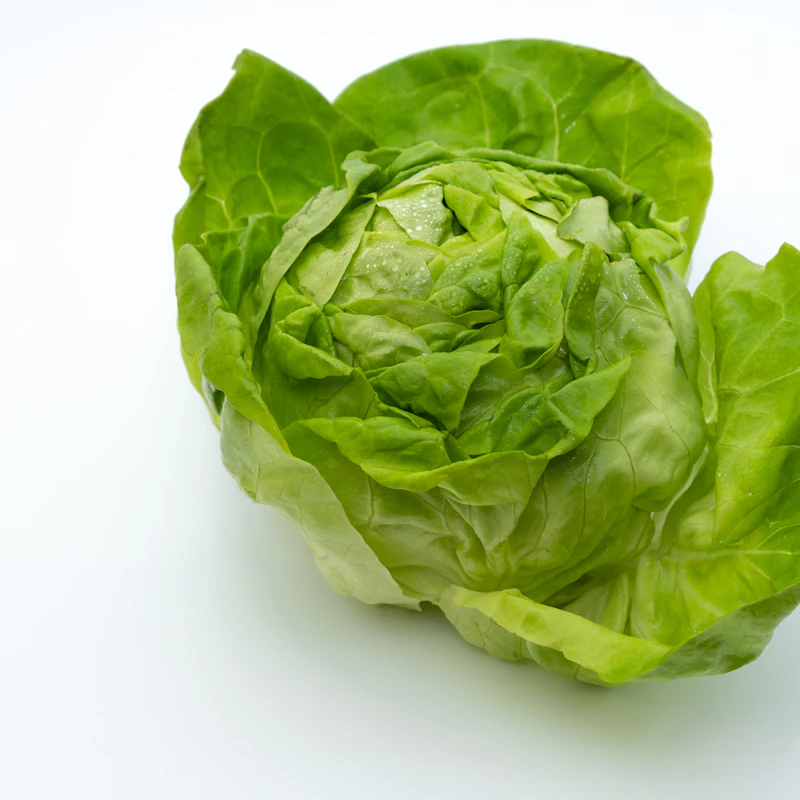 Butter Lettuce Twin Pack β Fresh Produce at Stripe Skill Store