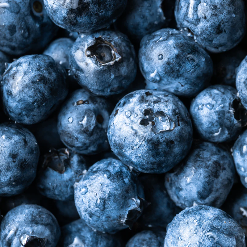 Fresh Blueberries Pint β Fresh Produce at Gallen Shop