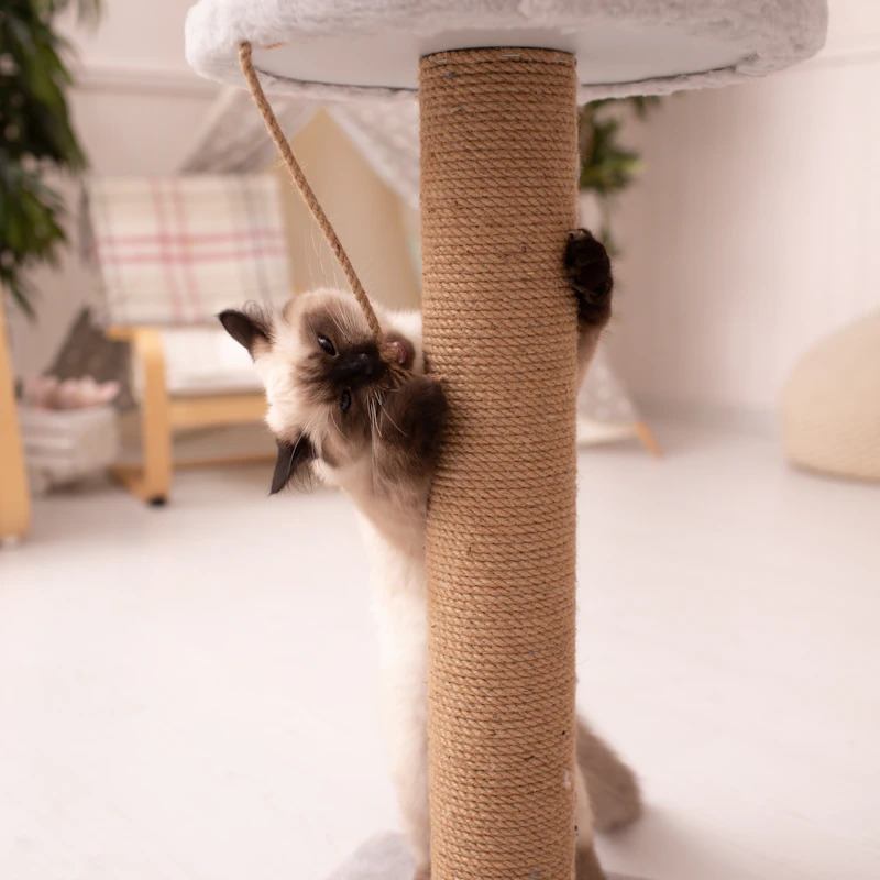 Modern Cat Tree Tower 52" β Pet Supplies at Gallen Shop
