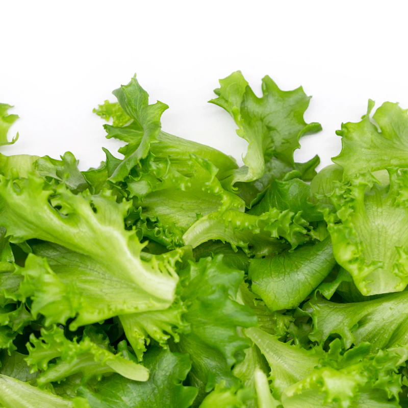 Organic Baby Spinach & Greens Blend β Fresh Produce at Gallen Shop