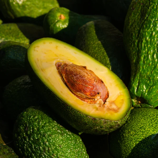 Organic Hass Avocado 4-Pack — Fresh Produce at Gallen Shop