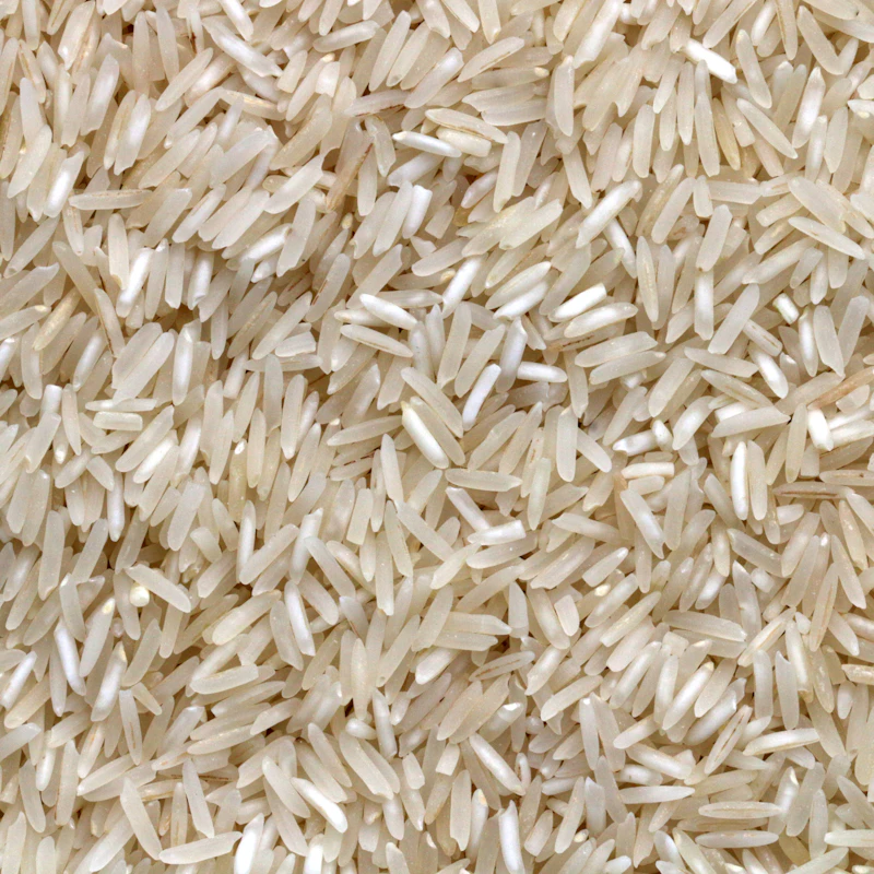 Organic Jasmine Rice 5 lb β Pantry at Stripe Skill Store