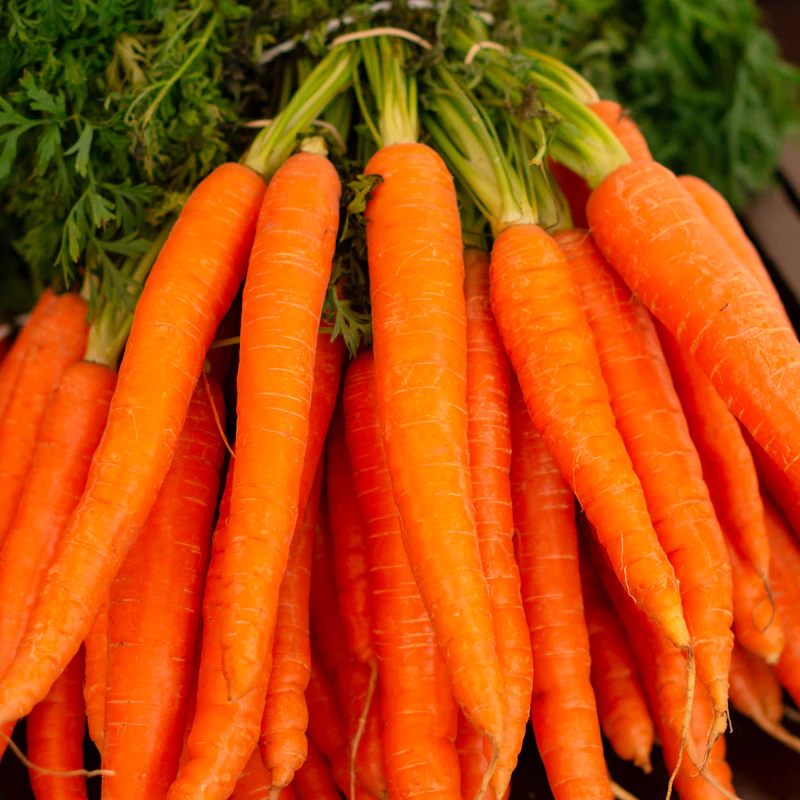 Rainbow Carrot Bunch β Fresh Produce at Gallen Shop