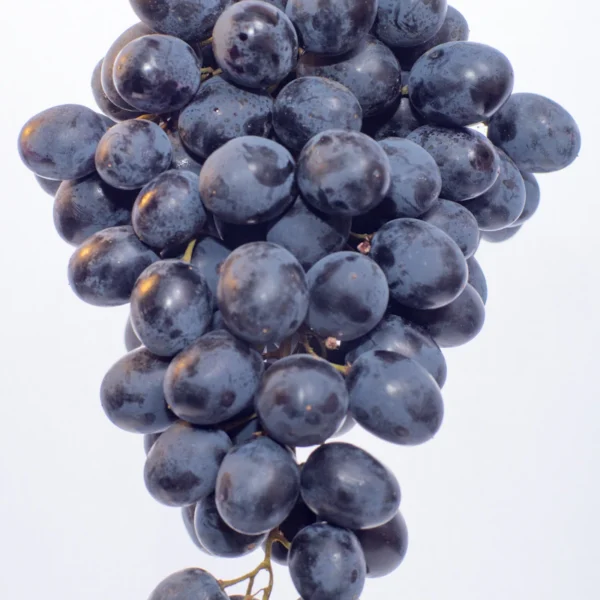 Red Seedless Grapes 2 lb — Fresh Produce at Gallen Shop