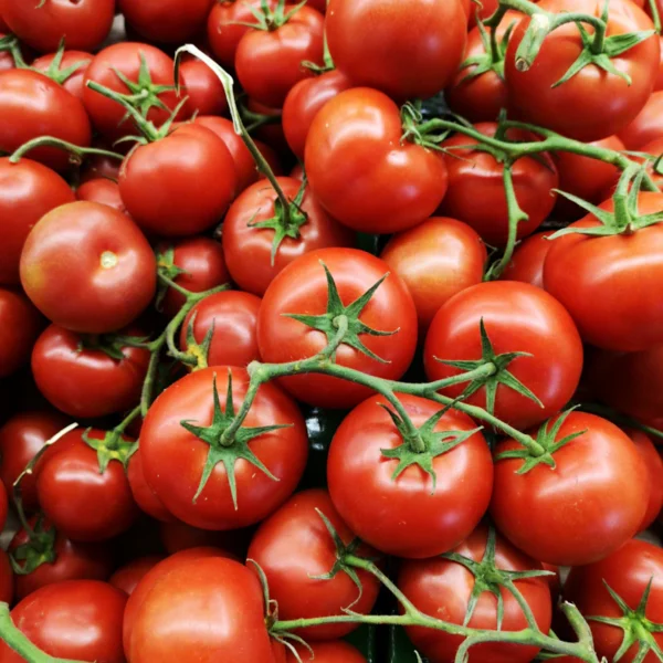 Vine-Ripened Tomatoes 1.5 lb — Fresh Produce at Gallen Shop